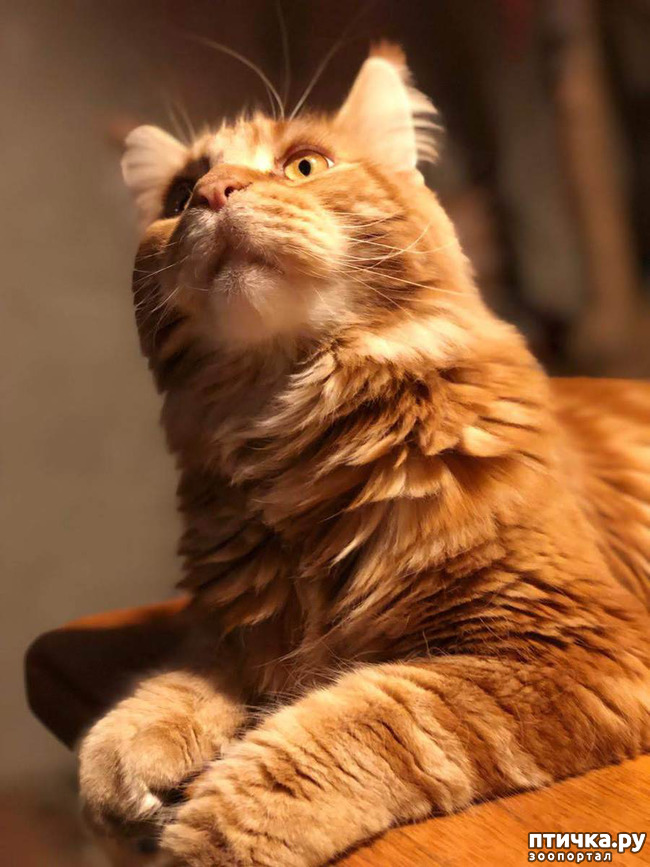 ���� 1: ���� ������ ���� ( (