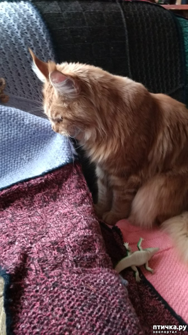 ���� 2: ���� ������ ���� ( (