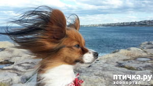 фотография: Руми фото: Руми