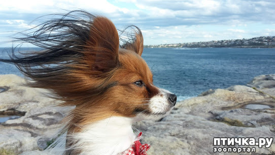 ���� 1: ����