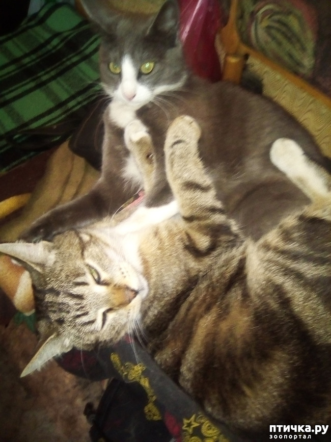 ���� 2: ����� ������!