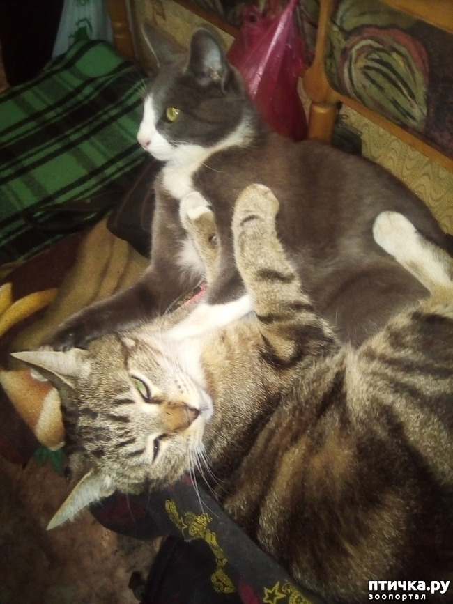 ���� 3: ����� ������!