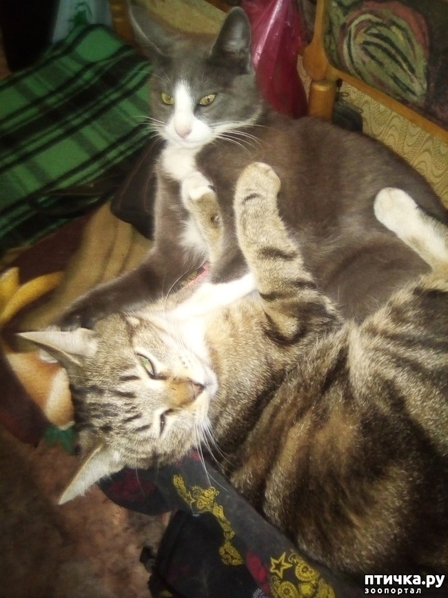 ���� 4: ����� ������!