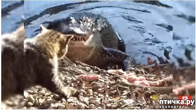 ���� 1: ����� - ������ �� ����� ������ �����