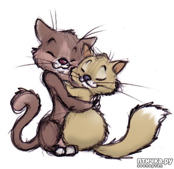 ���� 5: ����� ������!