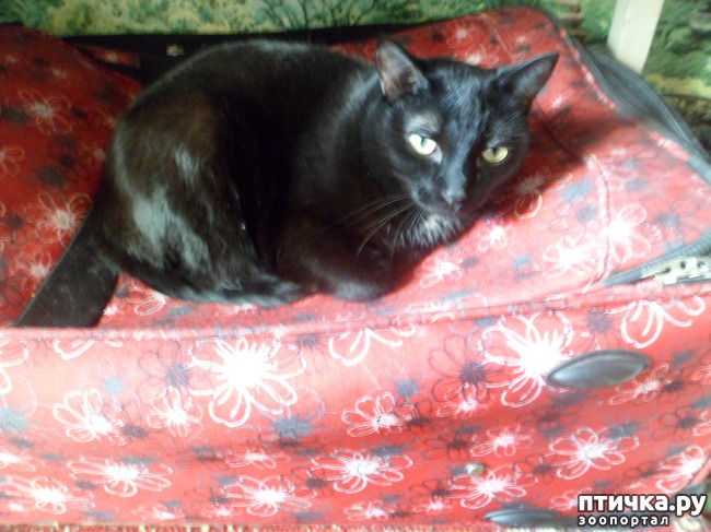 ���� 1: ���� ����� ���� ����� �������))