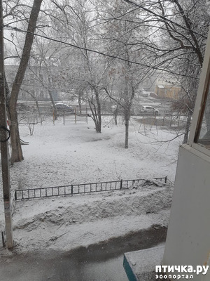 ����: ����� � ������� ( ( (