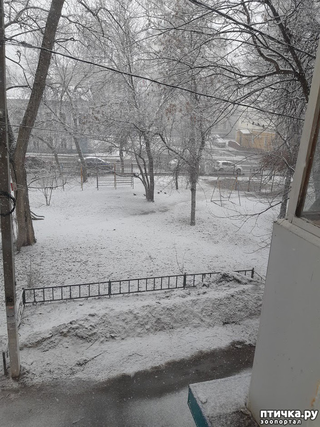 ���� 1: ����� � ������� ( ( (