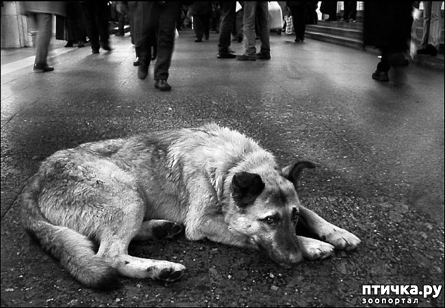 ���� 1: ��������� ��