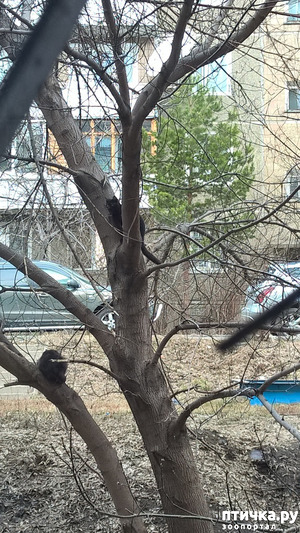 ����: ������ "� � ��� �� �����..."