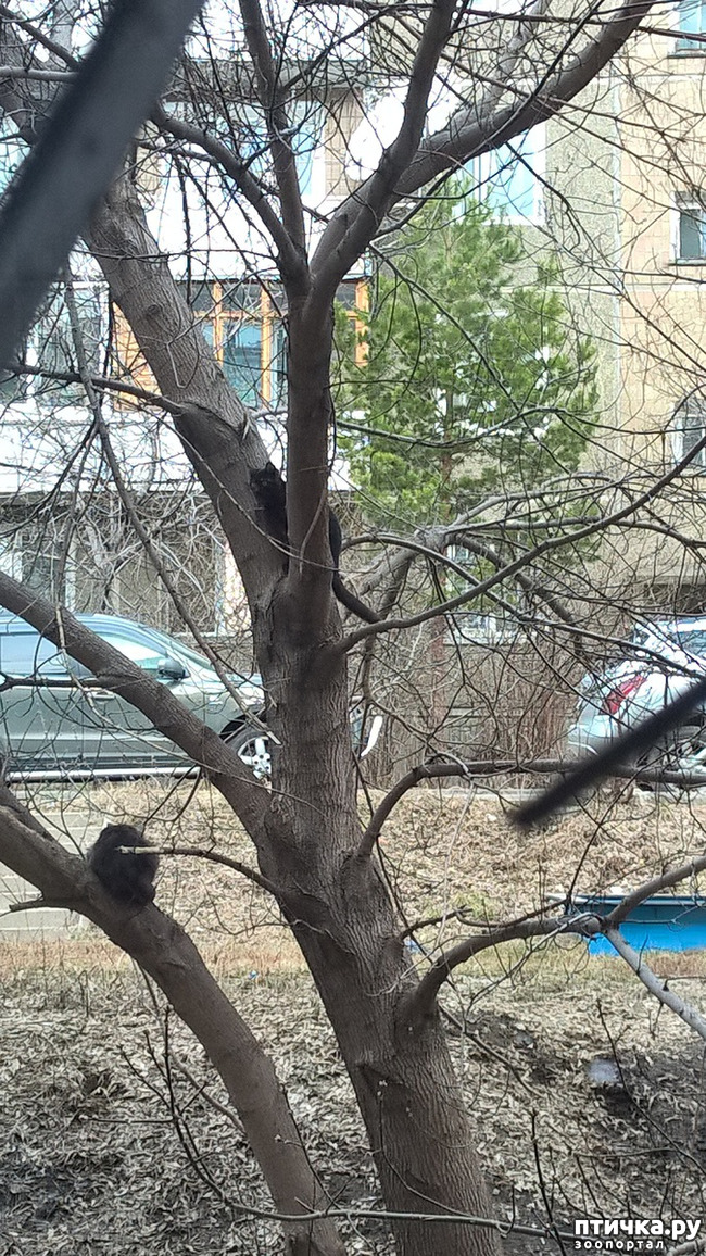 ���� 1: ������ 