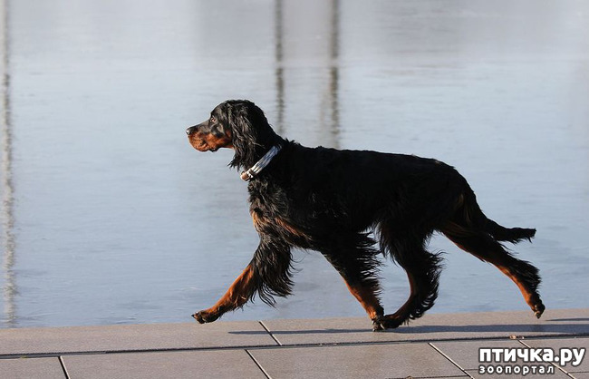 ���� 1: ������� 