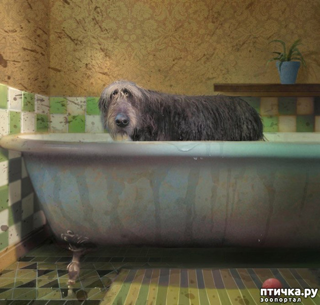 ���� 2: � ����� � ������� � ��������