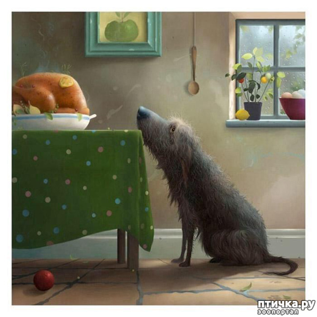 ���� 3: � ����� � ������� � ��������