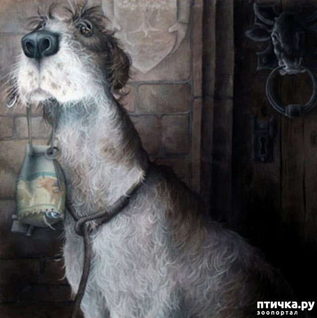 ���� 4: � ����� � ������� � ��������