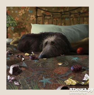 ����: � ����� � ������� � ��������