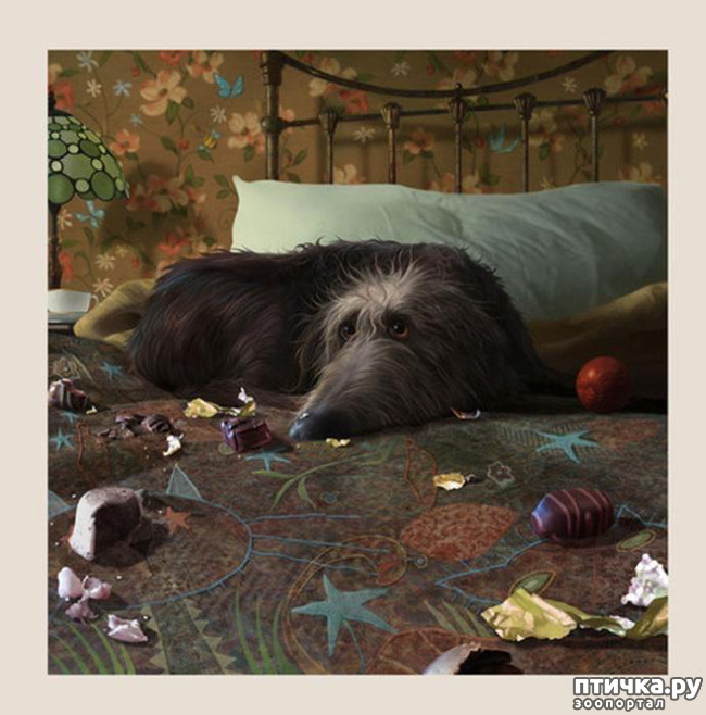 ���� 1: � ����� � ������� � ��������