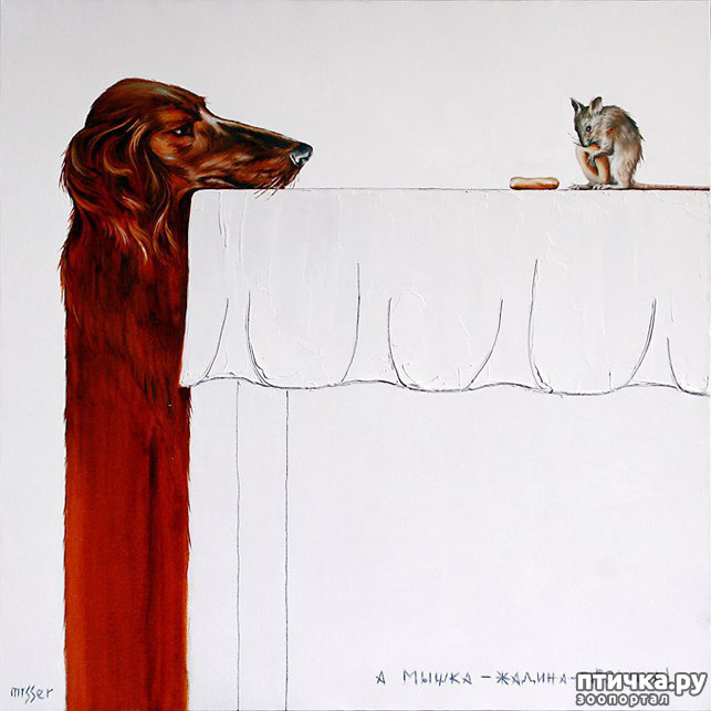 ���� 6: � ����� � ������� � ��������