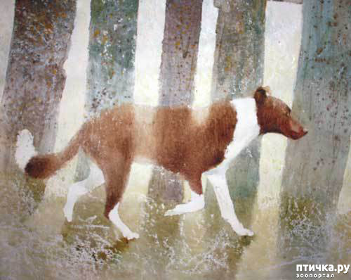 ���� 11: � ����� � ������� � ��������