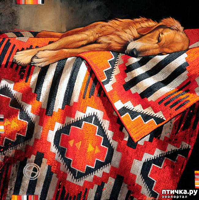 ���� 8: � ����� � ������� � ��������