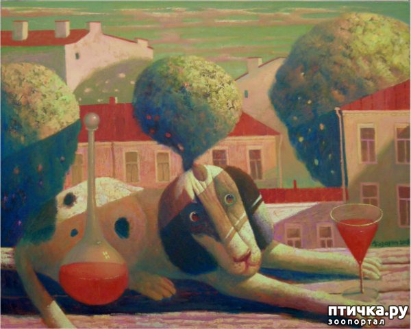 ���� 17: � ����� � ������� � ��������