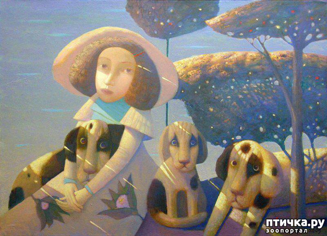 ���� 16: � ����� � ������� � ��������