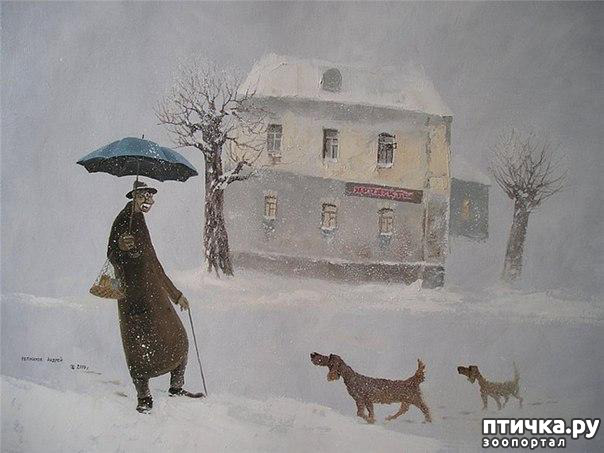 ���� 23: � ����� � ������� � ��������