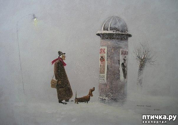 ���� 24: � ����� � ������� � ��������