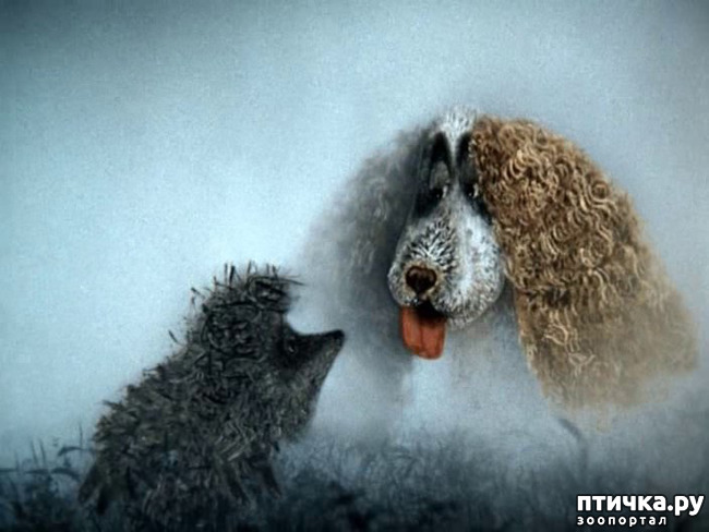 ���� 22: � ����� � ������� � ��������