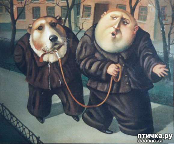 ���� 26: � ����� � ������� � ��������