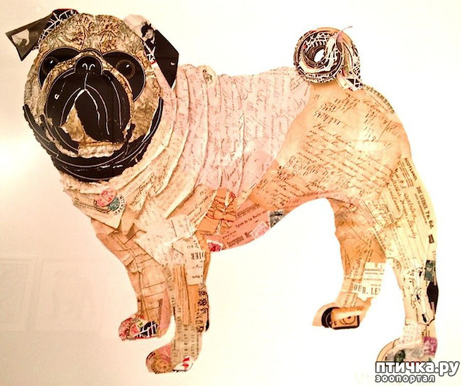 ���� 27: � ����� � ������� � ��������