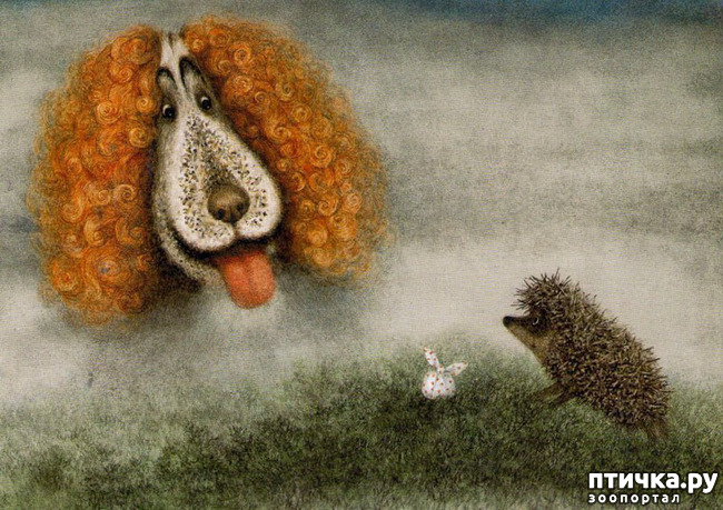 ���� 21: � ����� � ������� � ��������