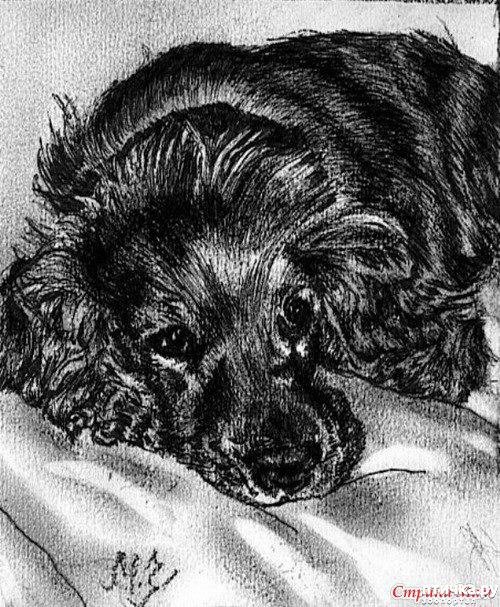 ���� 30: � ����� � ������� � ��������