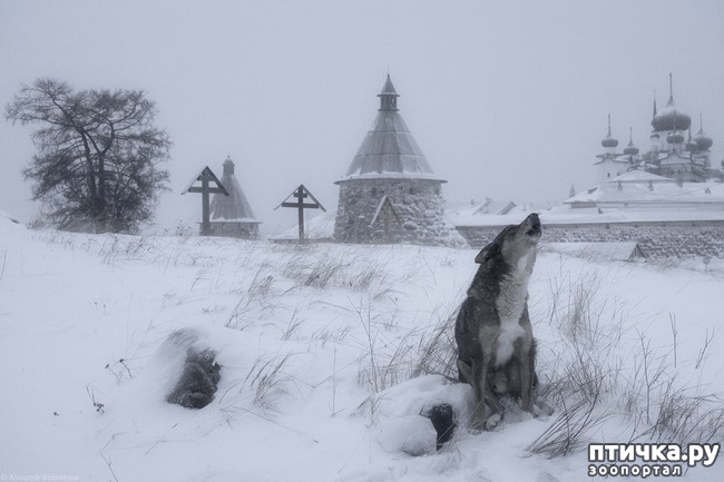 ���� 31: � ����� � ������� � ��������