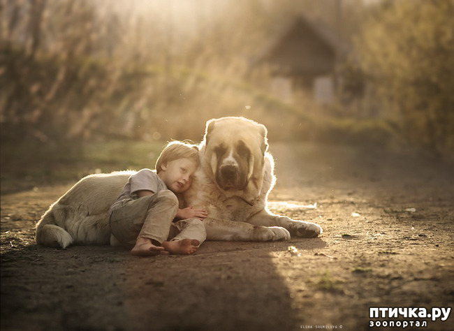 ���� 32: � ����� � ������� � ��������