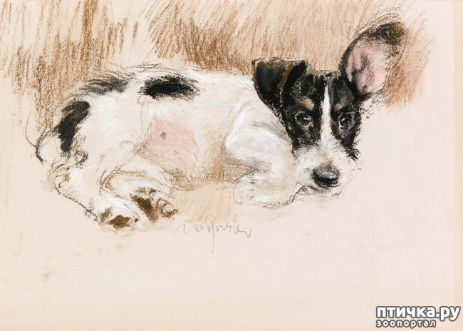 ���� 28: � ����� � ������� � ��������