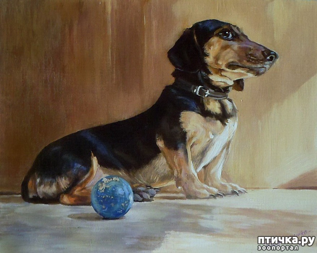 ���� 33: � ����� � ������� � ��������