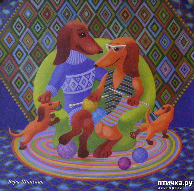 ���� 15: � ����� � ������� � ��������