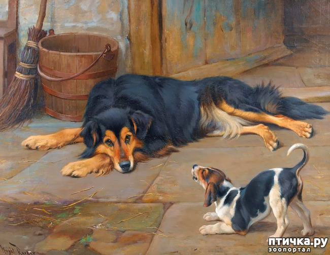 ���� 35: � ����� � ������� � ��������