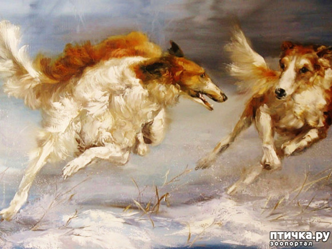 ���� 34: � ����� � ������� � ��������