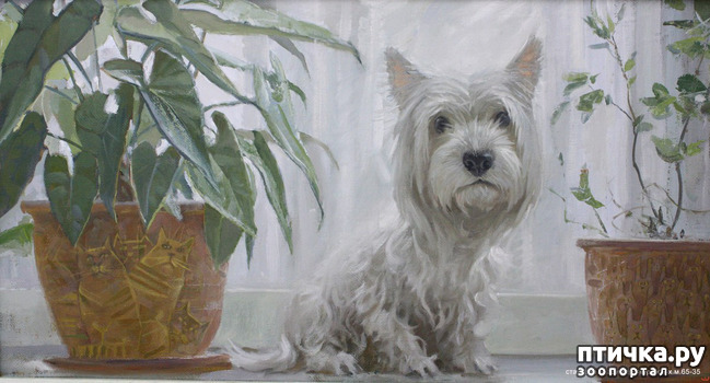 ���� 29: � ����� � ������� � ��������