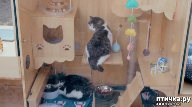 ���� 1: ��� ������?