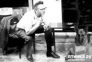 ����: ����� ������ ������