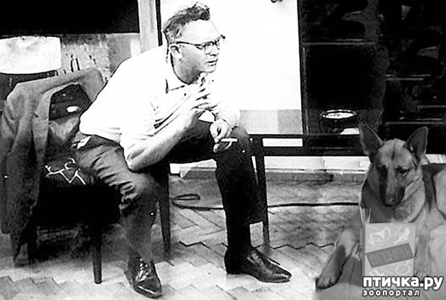 ���� 1: ����� ������ ������