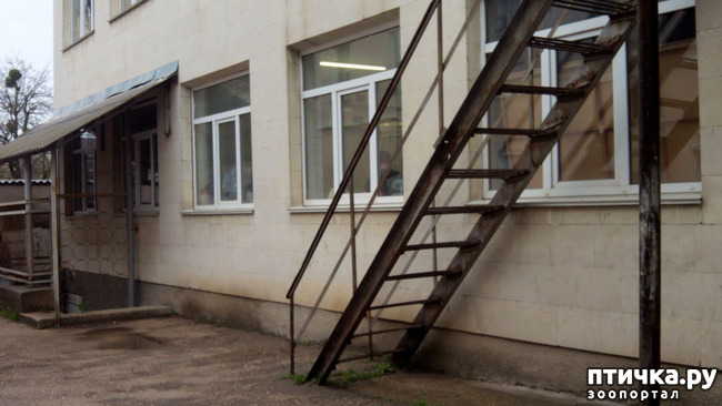 ���� 2: ��������� ����-���������