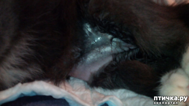 ���� 5: ��������� ����-���������