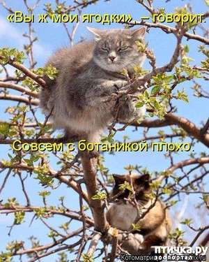 ����: �������� ������� ����)))