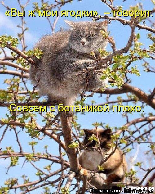 ���� 1: �������� ������� ����)))