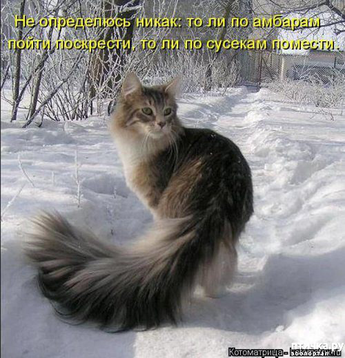 ���� 2: �������� ������� ����)))