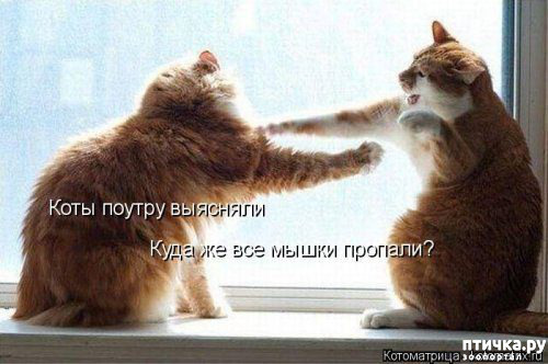 ���� 3: �������� ������� ����)))